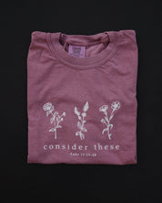 Christian T-Shirt - Consider These Comfort Colors Tee - Proclamation Coalition