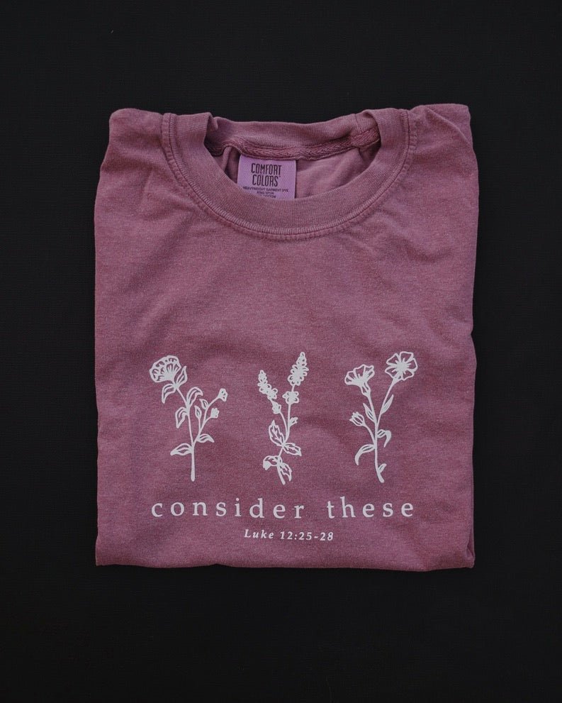 Christian T-Shirt - Consider These Comfort Colors Tee - Proclamation Coalition