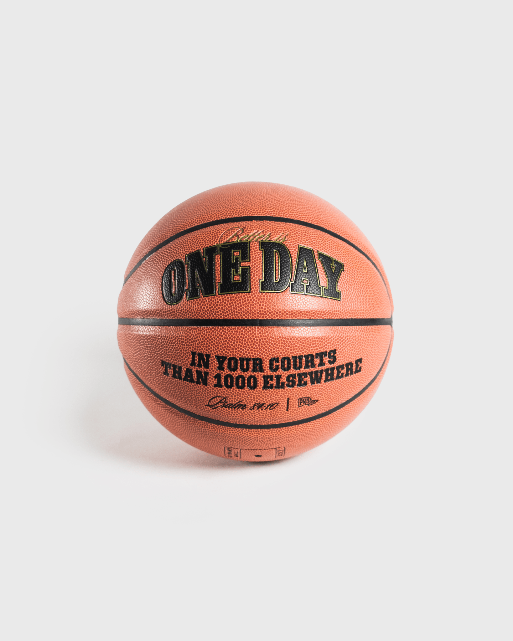 "Courts of the Lord" Game Basketball (Limited Edition) - Proclamation Coalition